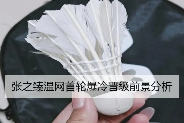 张之臻温网首轮爆冷晋级前景分析